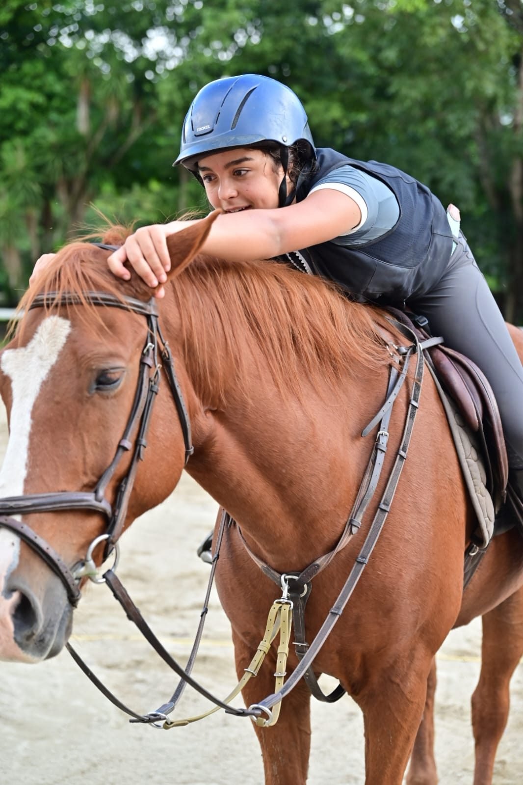 Isabela Stoduto — Cavalo