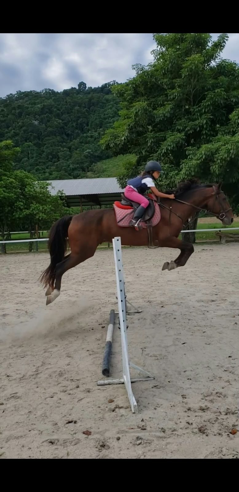 Isabela Stoduto — Esporte